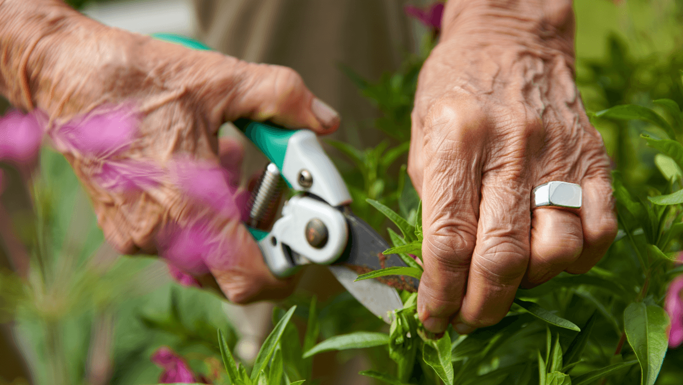 Haelo ring showcase 1