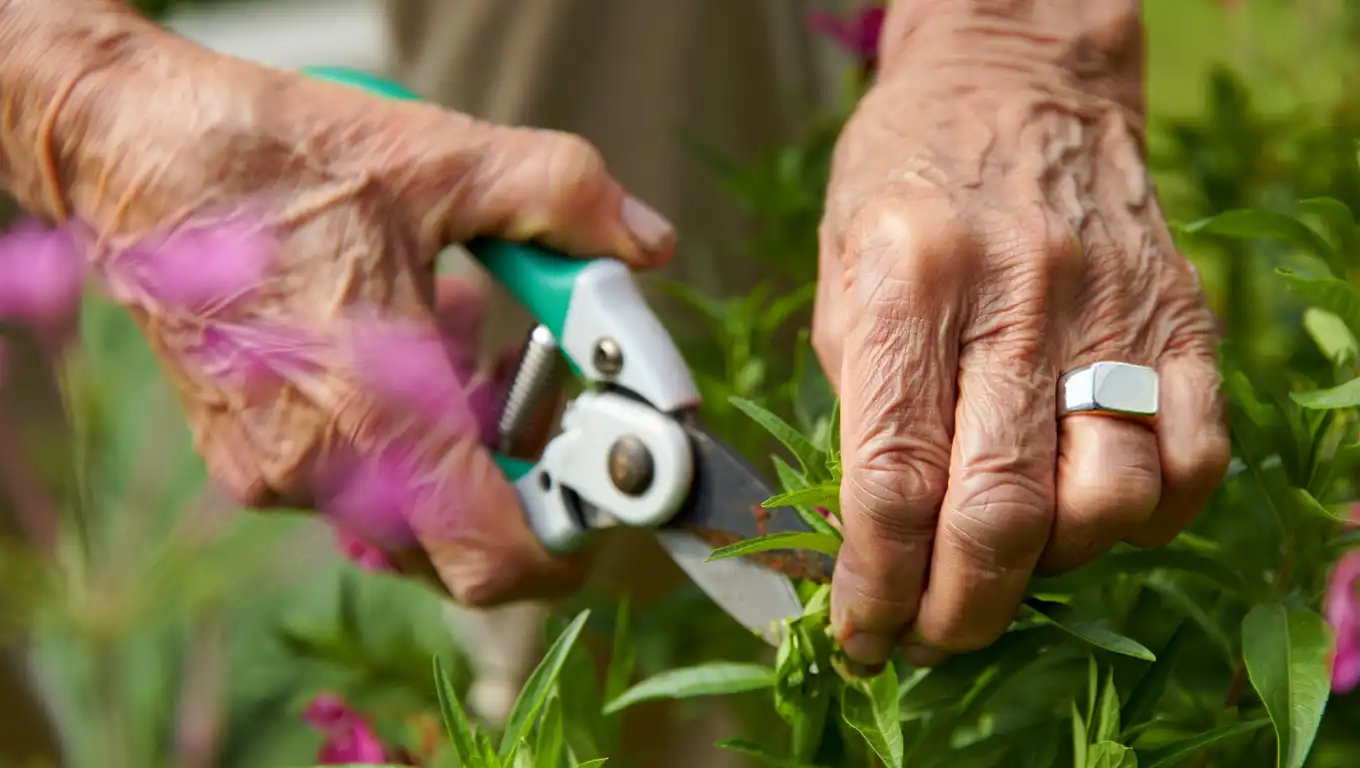 Haelo ring showcase 1